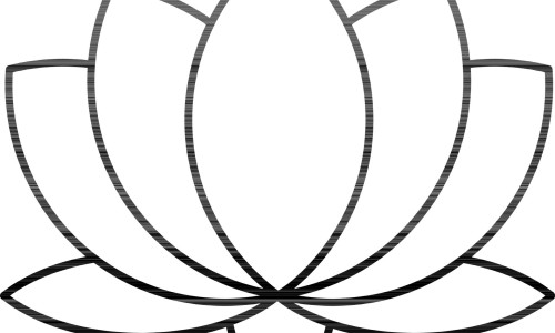 婴儿手部动作发展顺序-婴儿手部动作网 - 网站提供婴儿手部动作不好跟不吃DHA有关吗小常识、婴儿手部动作的基本训练