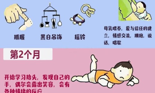 婴儿手部动作发展顺序-婴儿手部动作网 - 网站提供婴儿手部动作不好跟不吃DHA有关吗小常识、婴儿手部动作的基本训练