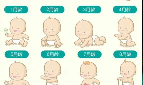 婴儿手部动作发展顺序-婴儿手部动作网 - 网站提供婴儿手部动作不好跟不吃DHA有关吗小常识、婴儿手部动作的基本训练